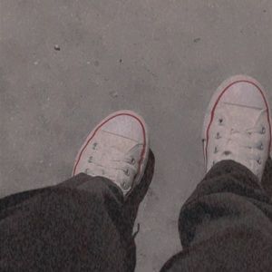 Meet your Posher, Priscilla